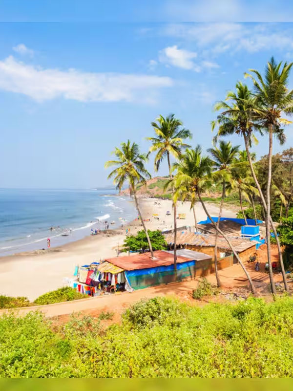 agonda